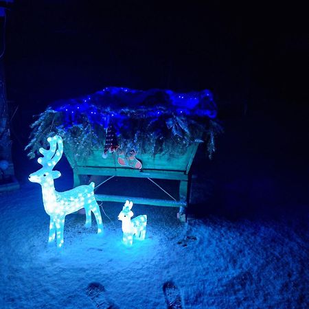 Vila Georgeta Zărneşti エクステリア 写真