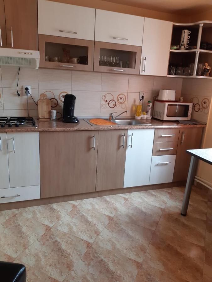 Vila Georgeta Zărneşti エクステリア 写真