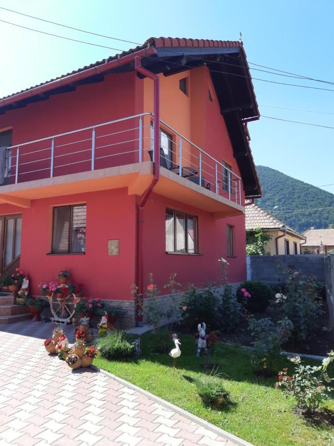 Vila Georgeta Zărneşti エクステリア 写真