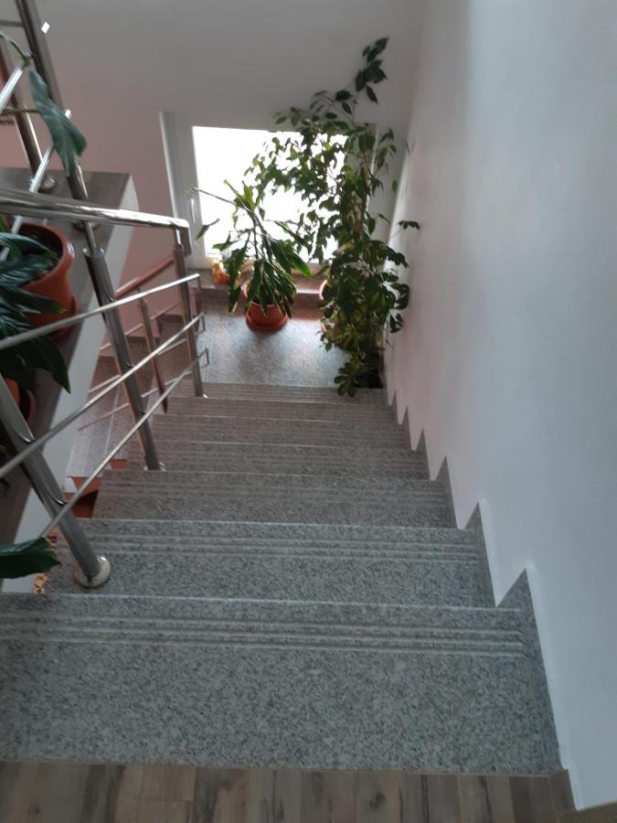 Vila Georgeta Zărneşti エクステリア 写真