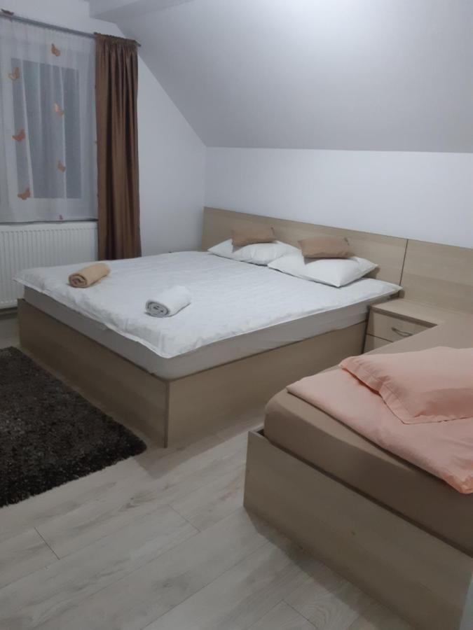 Vila Georgeta Zărneşti エクステリア 写真