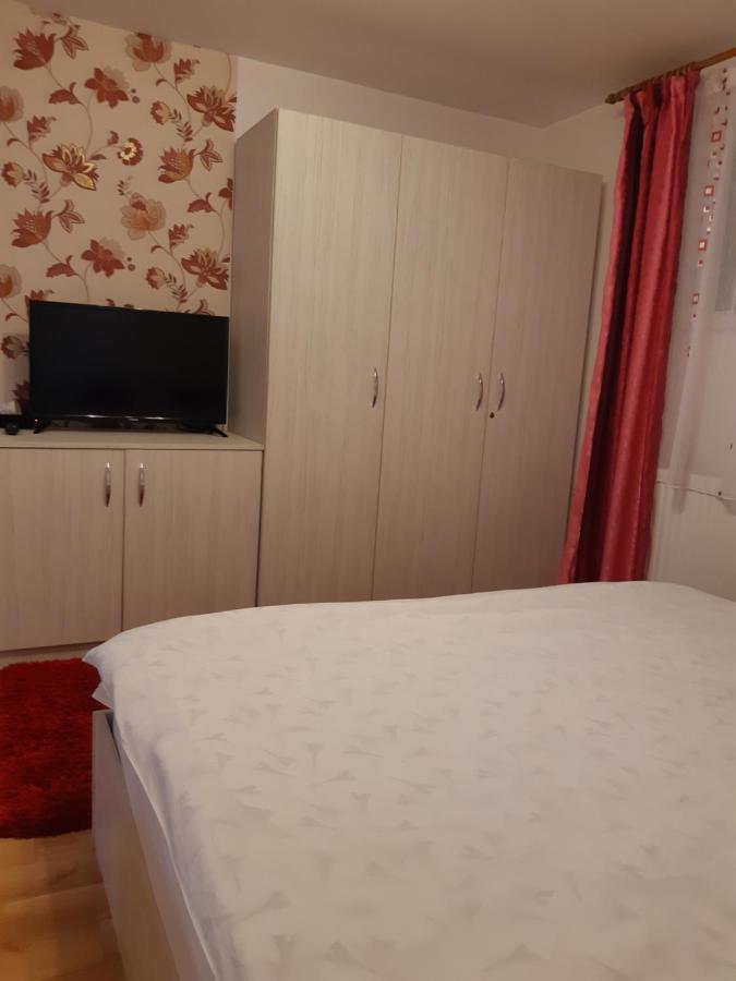 Vila Georgeta Zărneşti エクステリア 写真