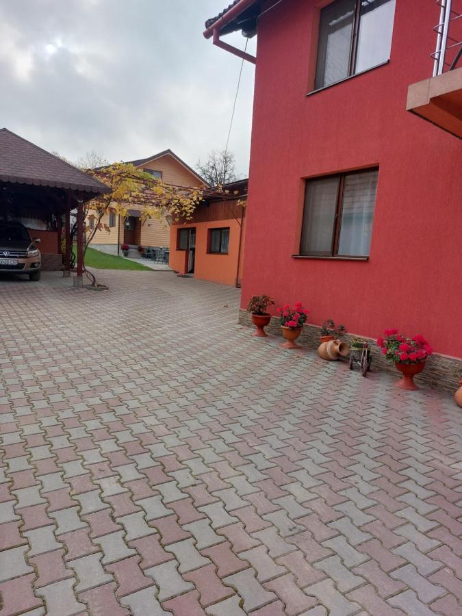 Vila Georgeta Zărneşti エクステリア 写真