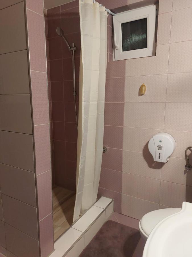 Vila Georgeta Zărneşti エクステリア 写真