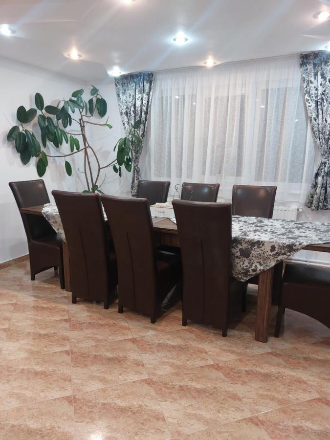 Vila Georgeta Zărneşti エクステリア 写真