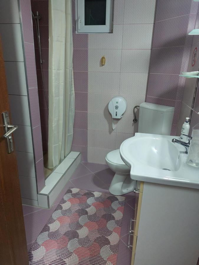 Vila Georgeta Zărneşti エクステリア 写真