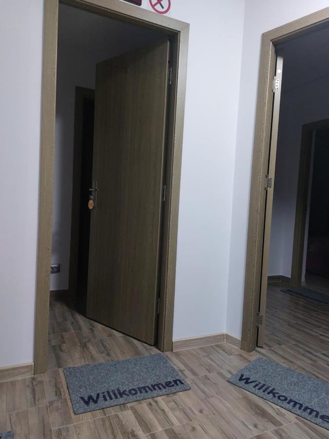 Vila Georgeta Zărneşti エクステリア 写真