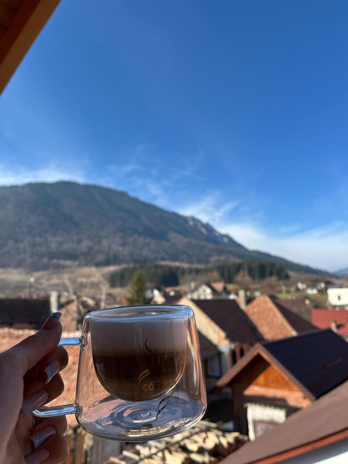 Vila Georgeta Zărneşti エクステリア 写真