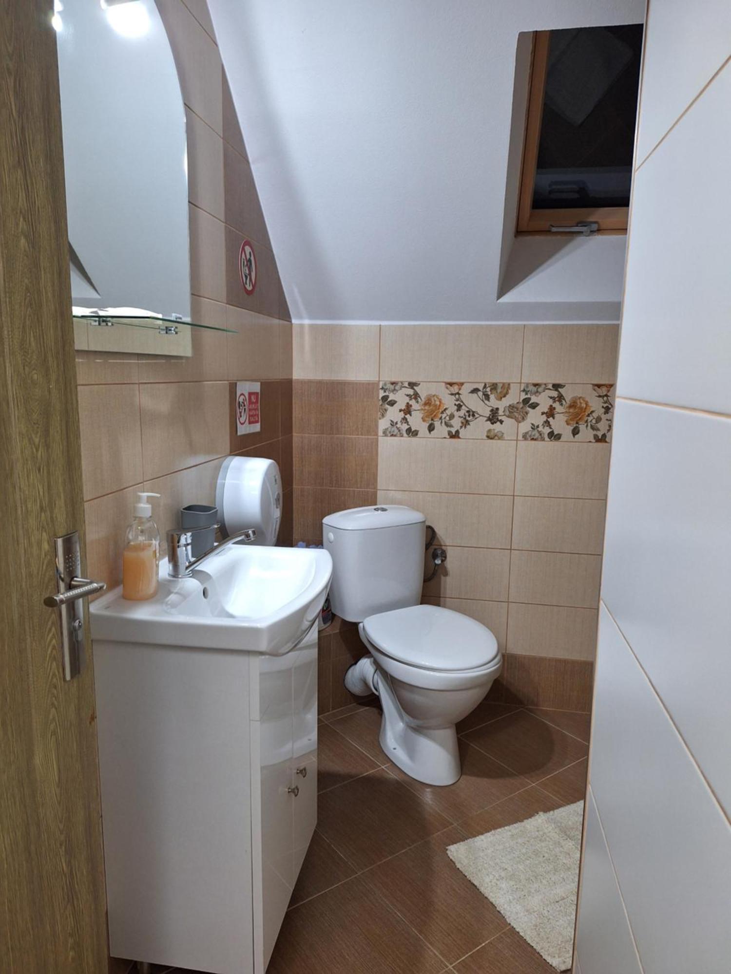 Vila Georgeta Zărneşti エクステリア 写真